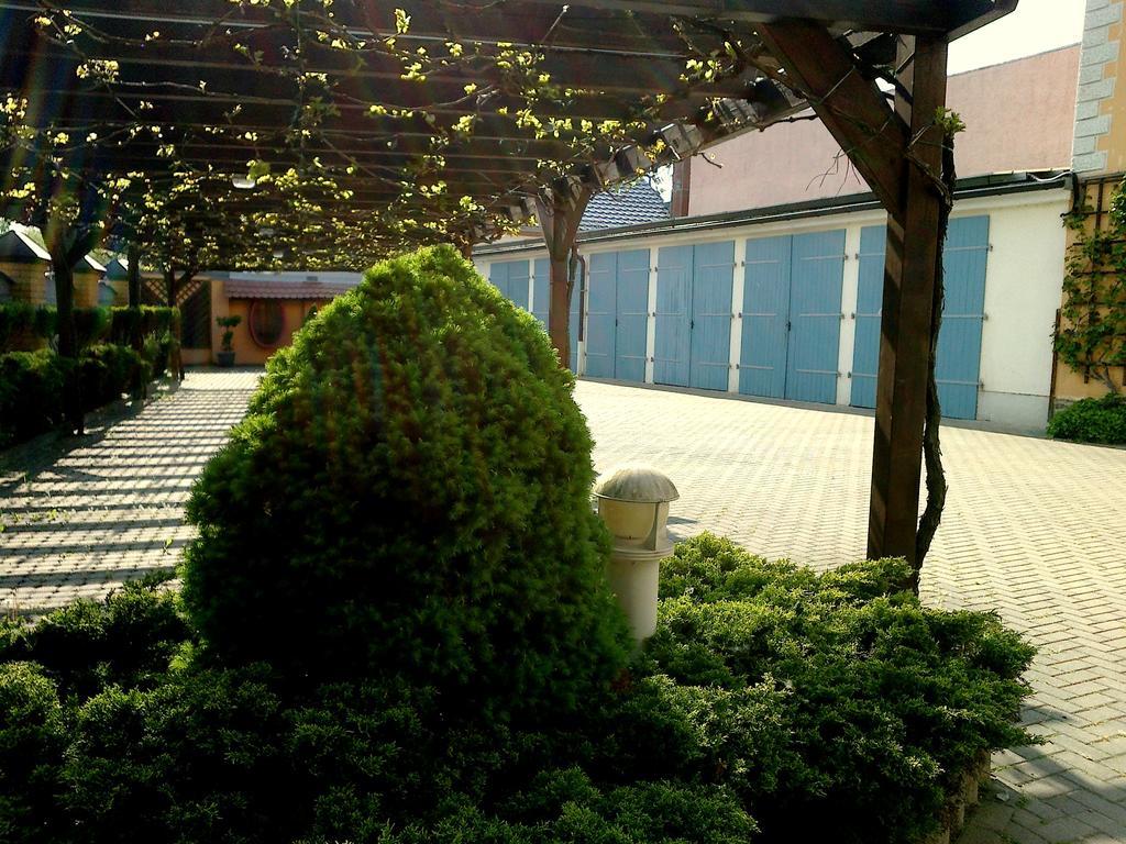 Hotel Weisse Taube Döbeln Εξωτερικό φωτογραφία